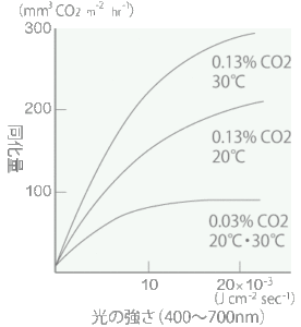 CO2濃度と光合成量の関係